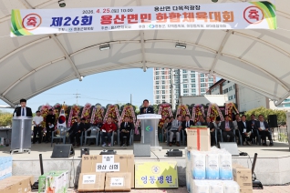 용산면민 화합체육대회 대표이미지