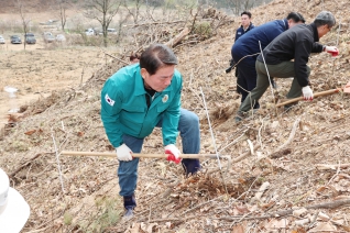 제81회 식목일 나무심기 행사 대표이미지