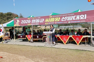 영동군 씨름왕 선발대회 대표이미지