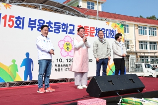 부용초등학교 동문체육대회 대표이미지