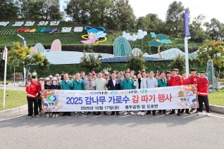 가로수 감따기 행사 대표이미지