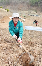 제81회 식목일 나무심기 행사 대표이미지