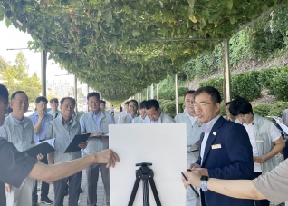 제336회 영동군의회 임시회 행정사무조사특별위원회 현장확인 대표이미지