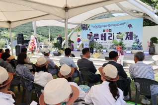 영동금강모치마을 블루베리축제 대표이미지